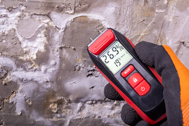 Best Water Damage Restoration  in Newington, VA