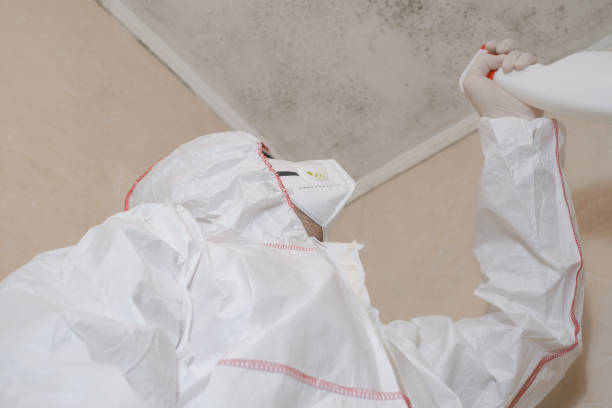 Best Mold Remediation  in Newington, VA